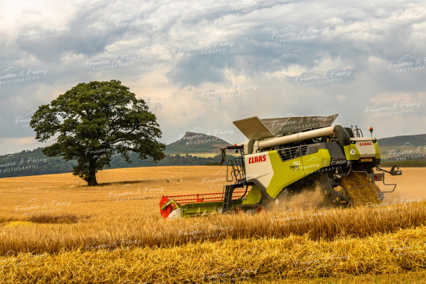 To buy a print or any of the below please click on the images